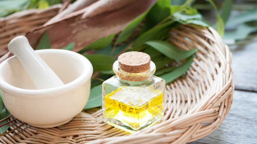 Eucalyptus-oil-as-essential-oils-for-headaches