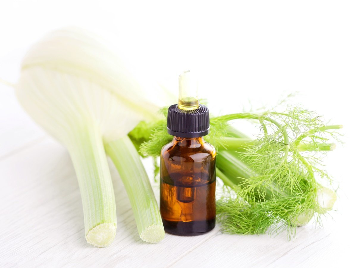 Fennel-oil-as-essential-oils-for-weight-loss