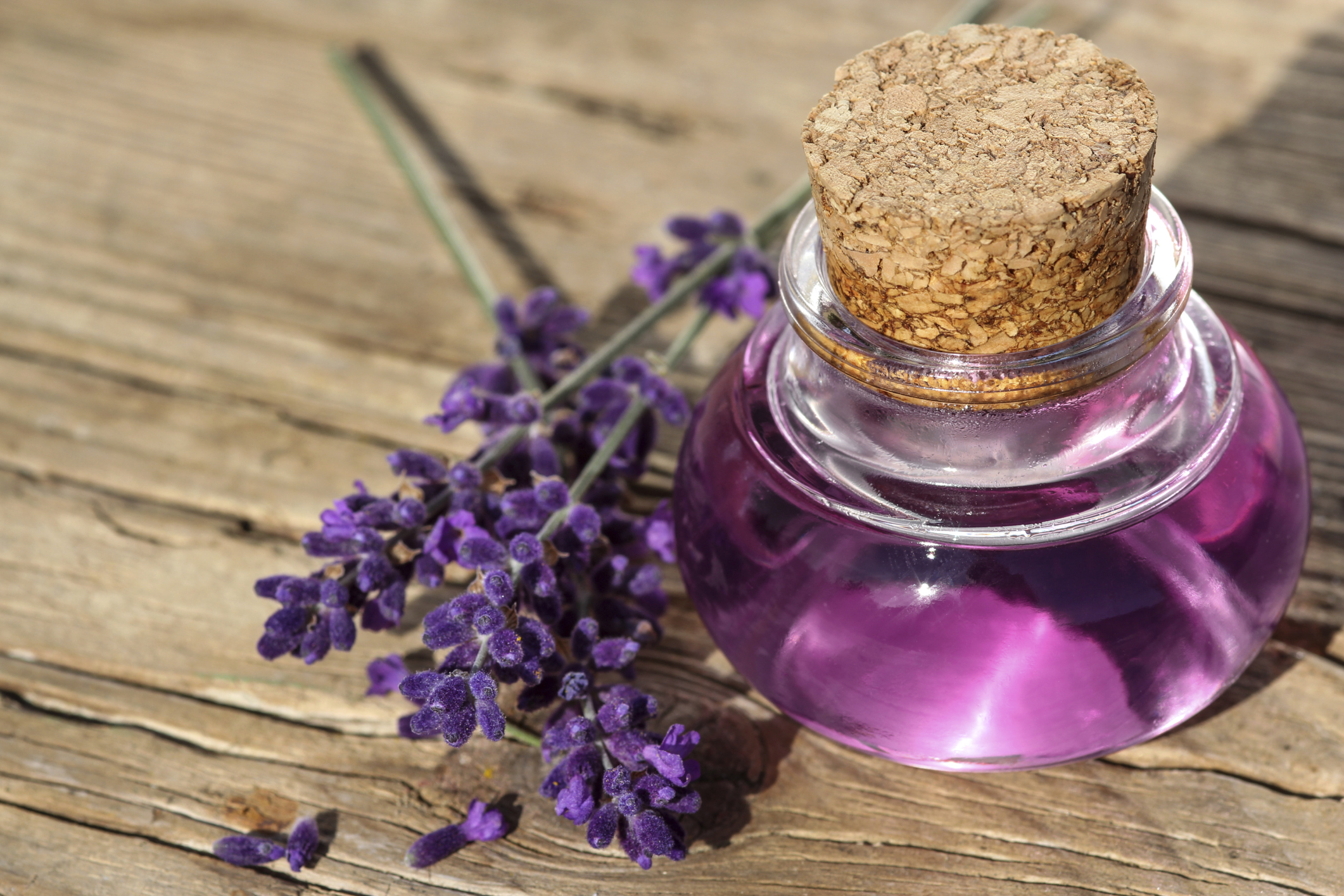 Lavender-oil-as-essential-oils-for-sleep