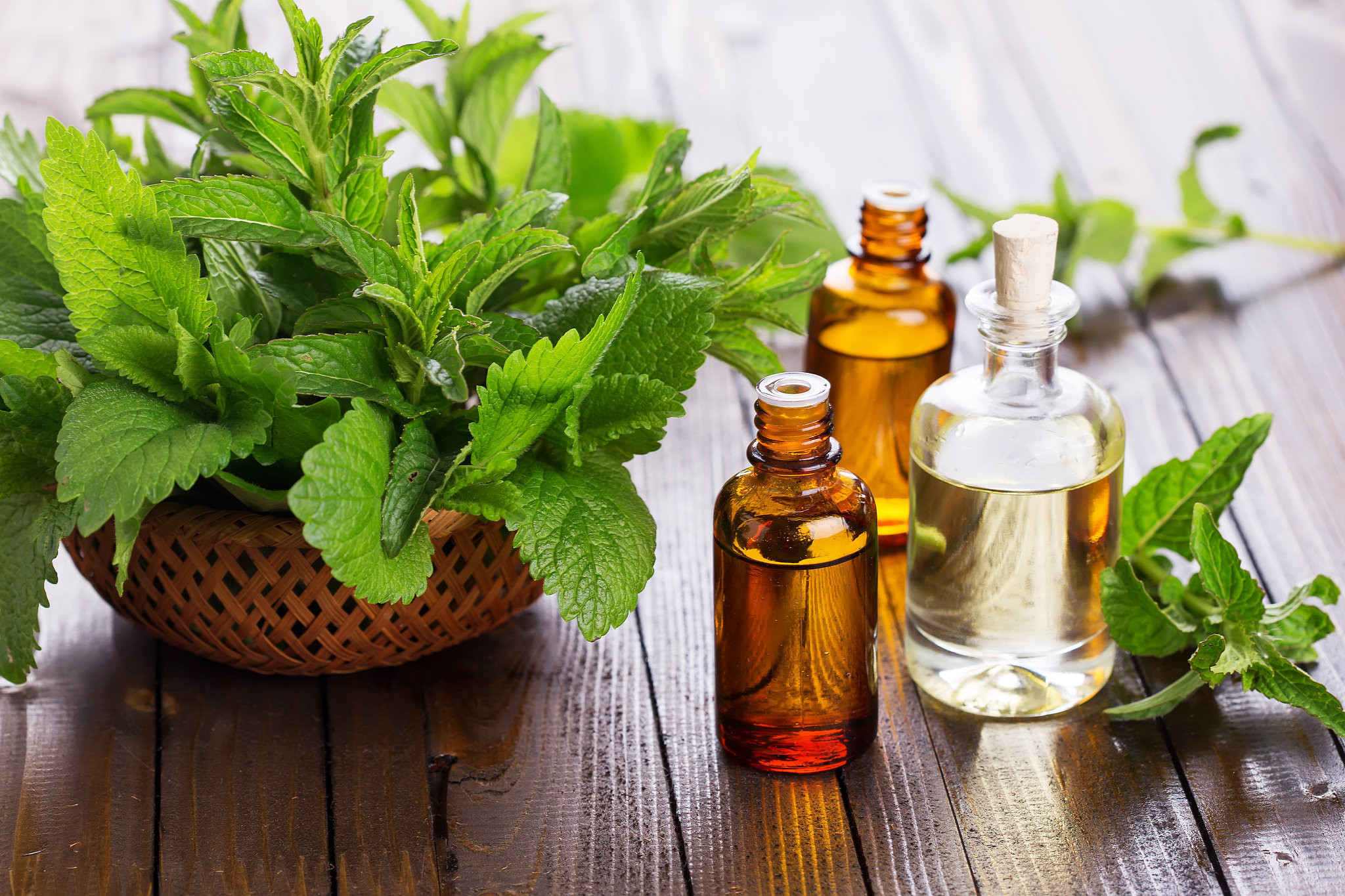 Peppermint-oil-as-essential-oils-for-weight-loss