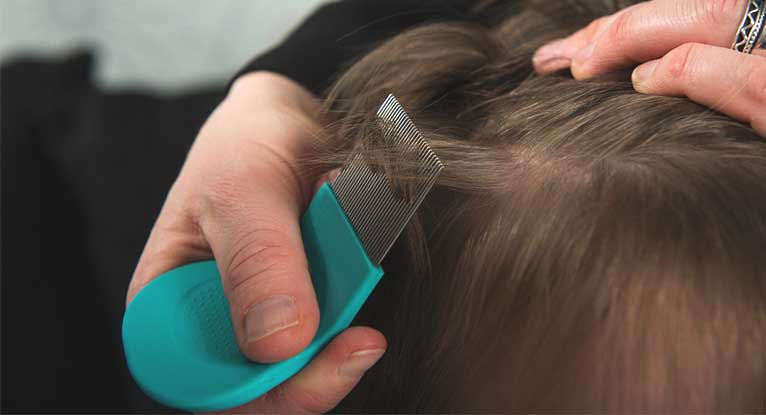 prevent-lice-from-coming-back