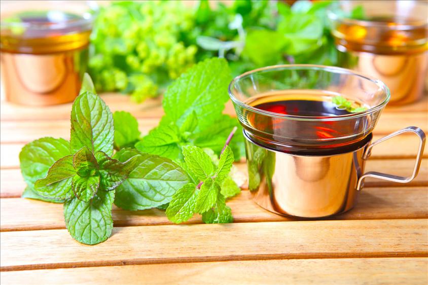 Holy-basil-to-fight-against-infection