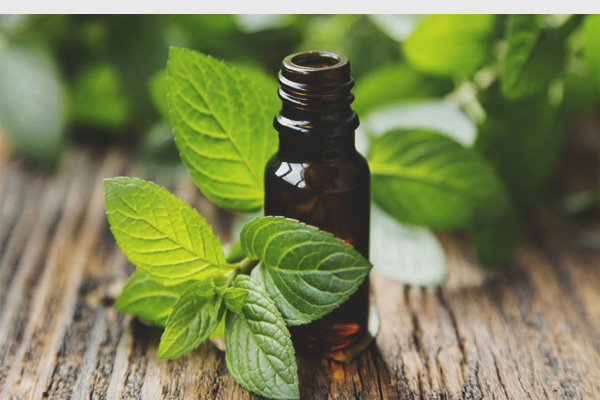 Essential-oils-for-colds
