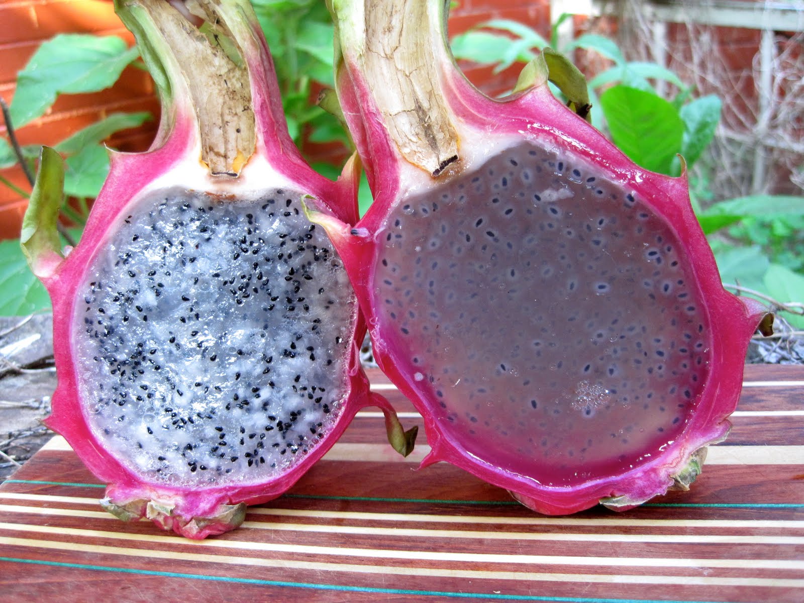 Dragon-fruit-benefits-with-fats