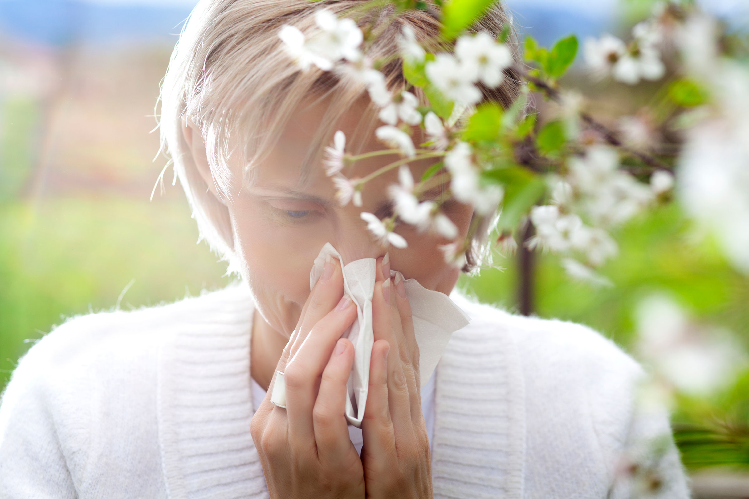 Elderflower-tea-to-treat-red-eyes-caused-by-allergies