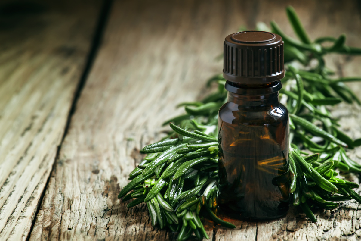 Essential-Oils-for-Hemorrhoids-Tea-Tree-oil