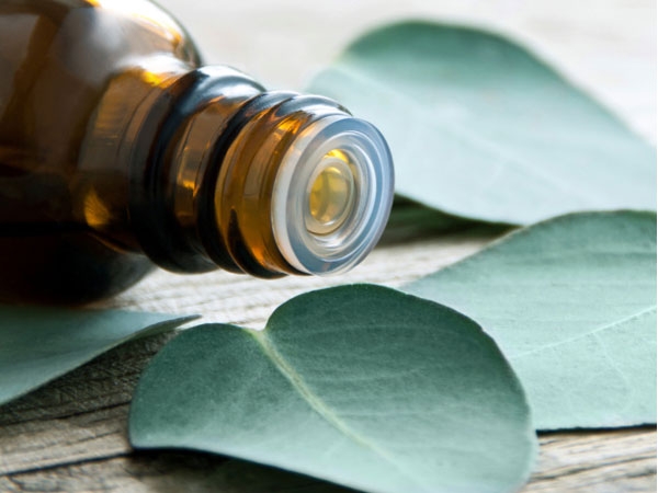 Essential-oils-for-a-cough-Eucalyptus-oil
