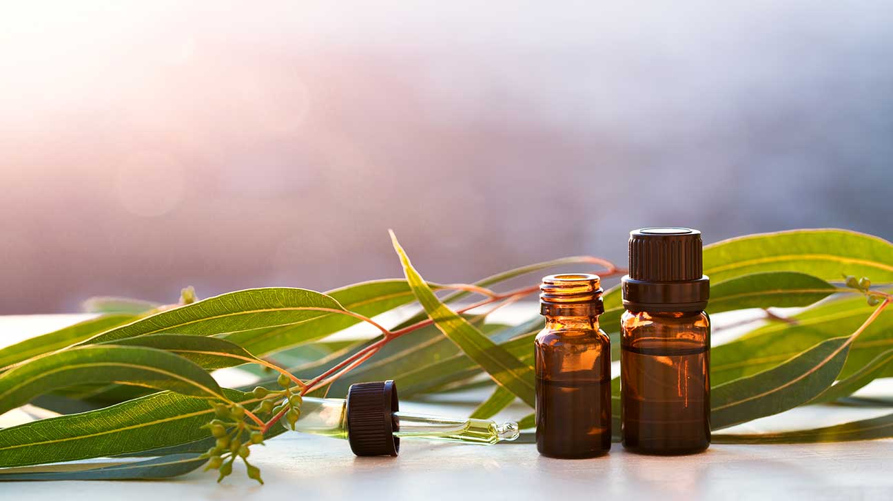 Essential-oils-for-warts-Eucalyptus-oil