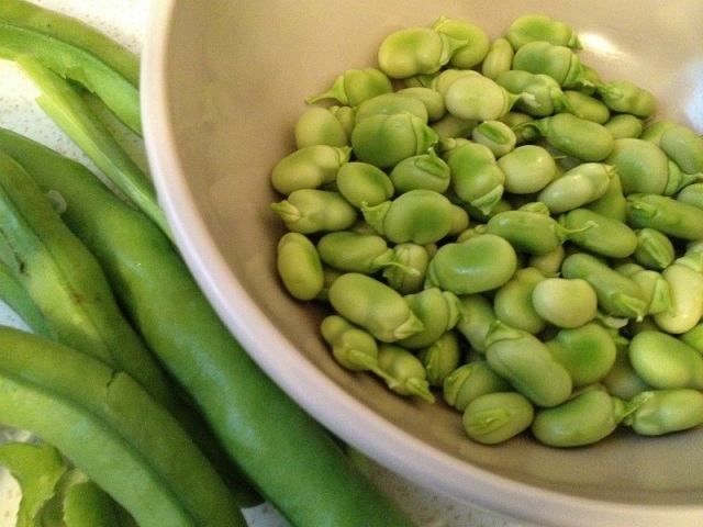 Fava-Beans