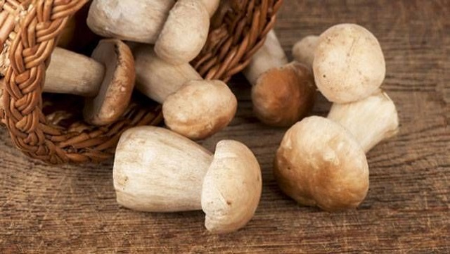 Mushroom-nutritional-value 