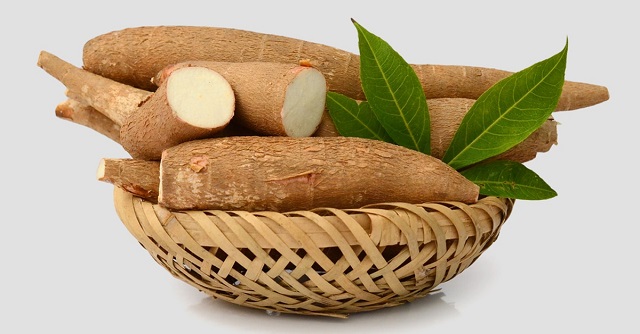 Cassava-benefits-and-dangers