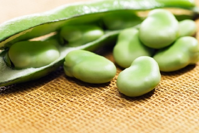 fava-beans-nutrition